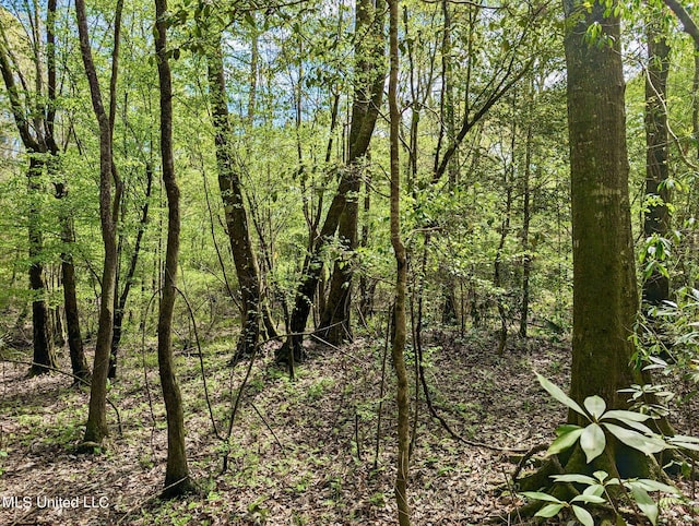 Egg Farm Rd, Poplarville, MS 39470