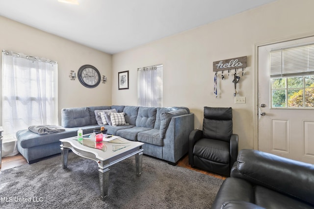 living area featuring wood finished floors