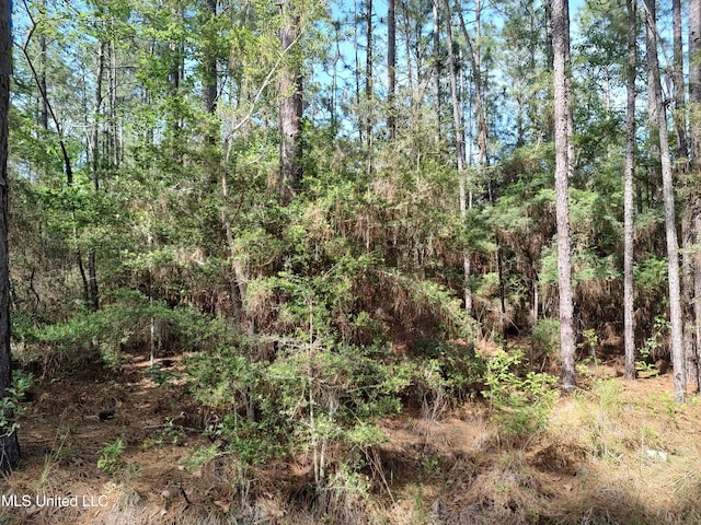 Listing photo 3 for NO Magnolia Ln, Poplarville MS 39470