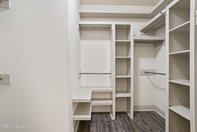 walk in closet featuring dark hardwood / wood-style flooring