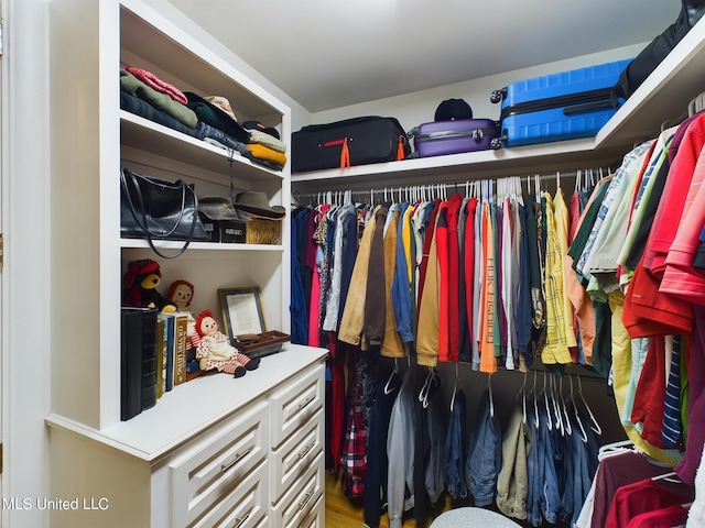 view of spacious closet