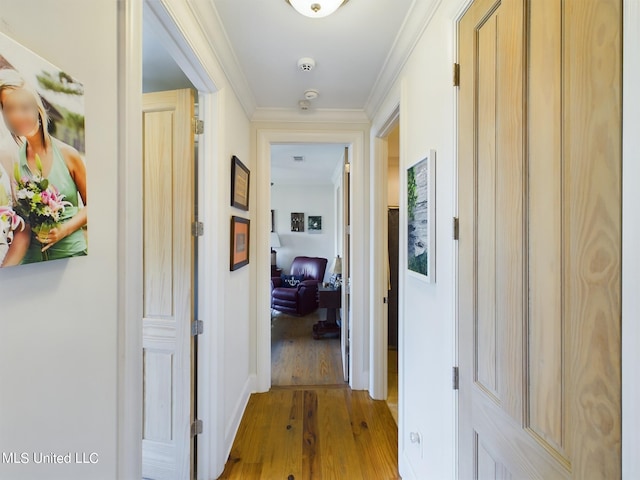 corridor with crown molding and light wood-type flooring