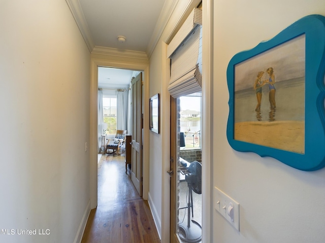 hallway with hardwood / wood-style flooring and crown molding