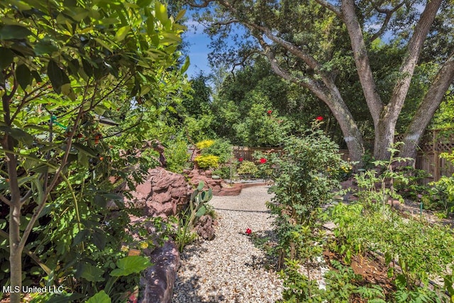 2085 Pat Ln, Biloxi, MS 39531 - view of yard
