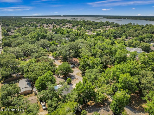 2085 Pat Ln, Biloxi, MS 39531 - drone / aerial view of a large body of water and a forest
