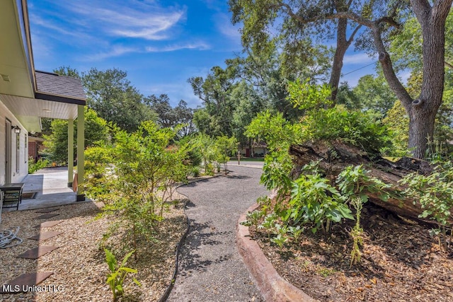 2085 Pat Ln, Biloxi, MS 39531 - view of yard