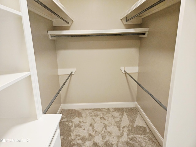 119 Hemlock Ln, Madison, MS 39110 - walk in closet featuring carpet flooring