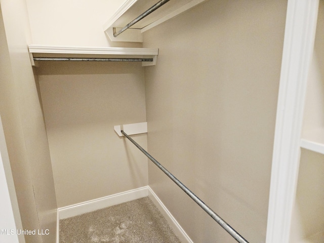 119 Hemlock Ln, Madison, MS 39110 - spacious closet featuring carpet