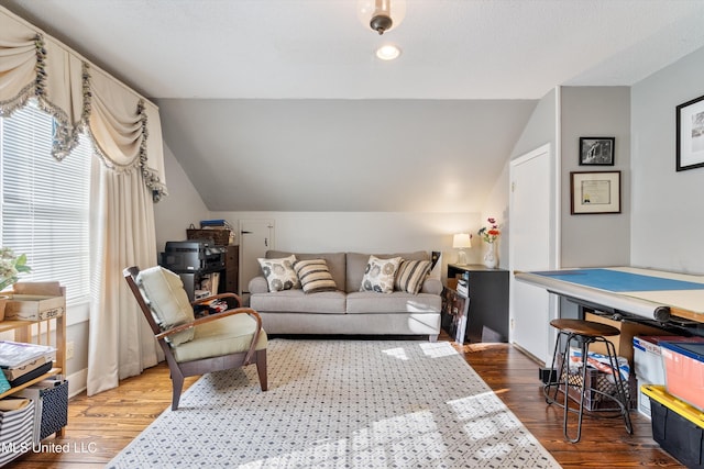 living room featuring lofted ceiling and dark wood-type flooring