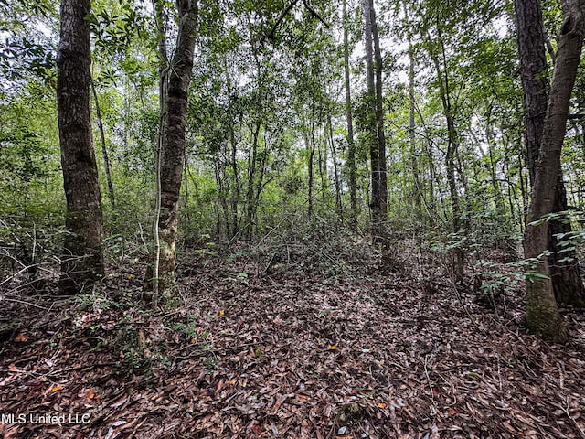 01 O Neal Rd, Vancleave, MS 39565