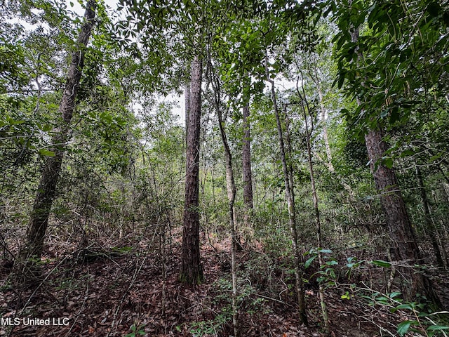 01 O Neal Rd, Vancleave, MS 39565