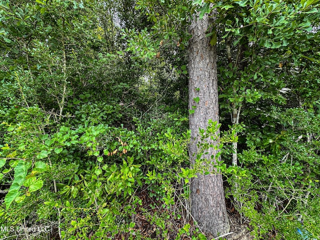 01 O Neal Rd, Vancleave, MS 39565