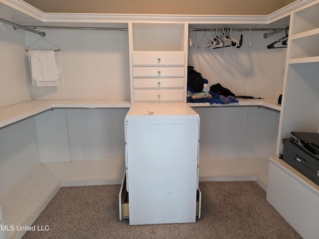 45 Carlsbad, Hattiesburg, MS 39402 - spacious closet with carpet