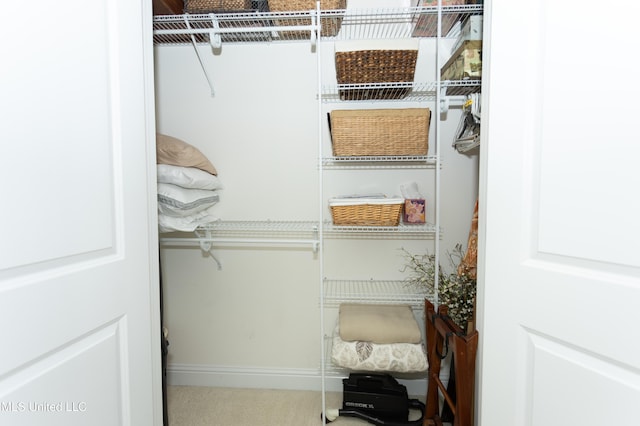 view of closet