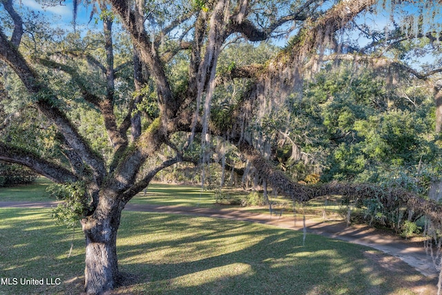 view of community featuring a lawn