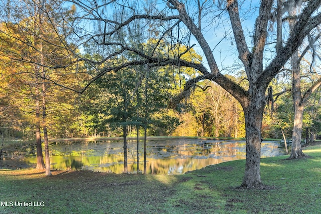 view of yard with a water view