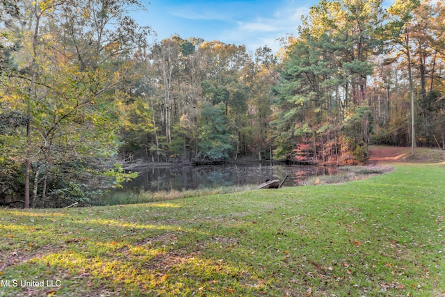 view of yard featuring a water view