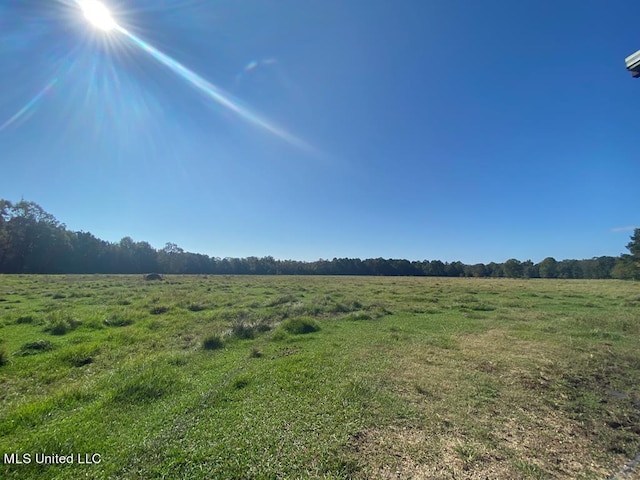 260 N Mitchel Chappel Rd, Poplarville MS, 39470 land for sale