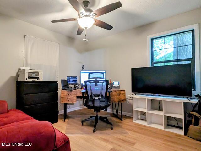 office featuring ceiling fan and light hardwood / wood-style flooring