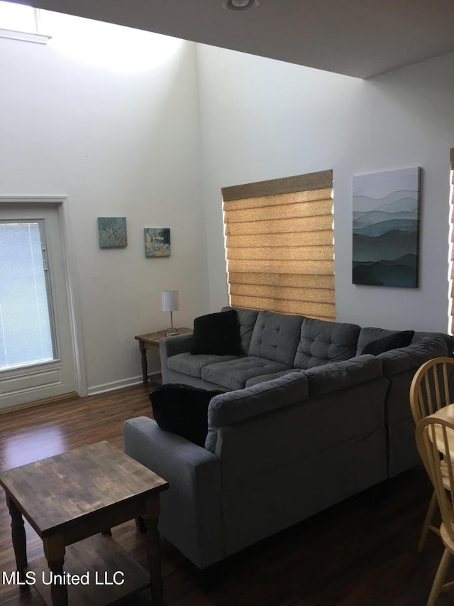 living room featuring dark hardwood / wood-style floors