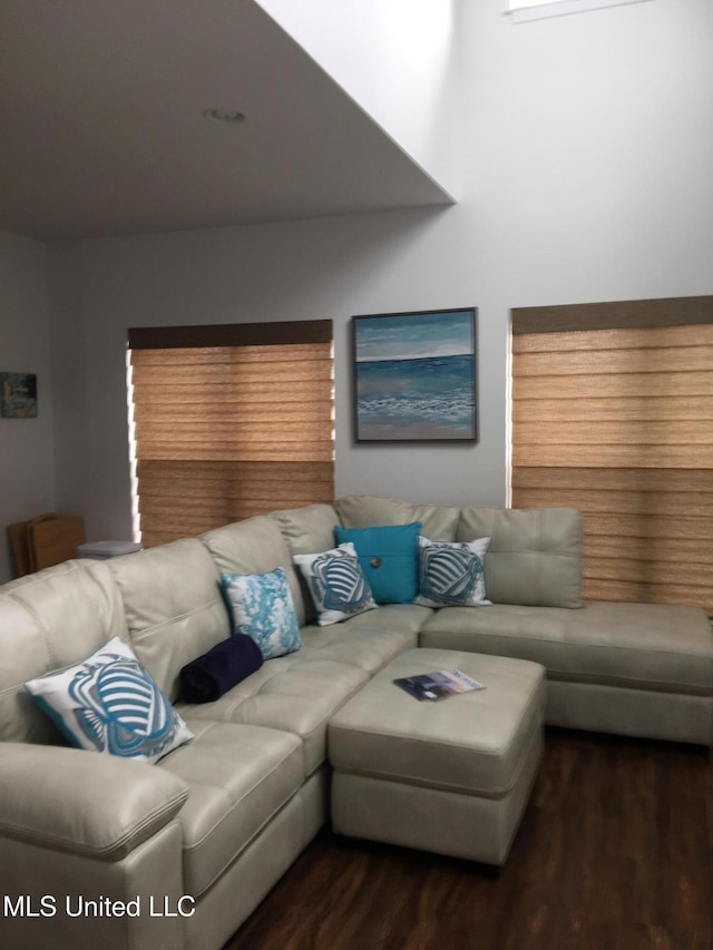 living room with dark hardwood / wood-style flooring