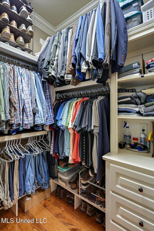 spacious closet featuring hardwood / wood-style floors