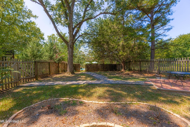 view of yard featuring a patio