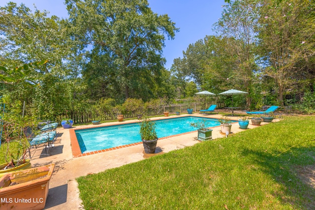 view of swimming pool with a patio area and a lawn