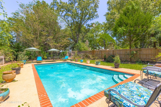 view of pool with a patio