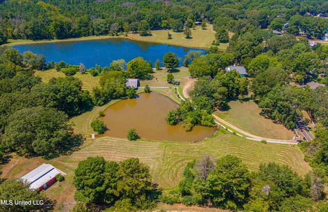 drone / aerial view with a water view and a rural view