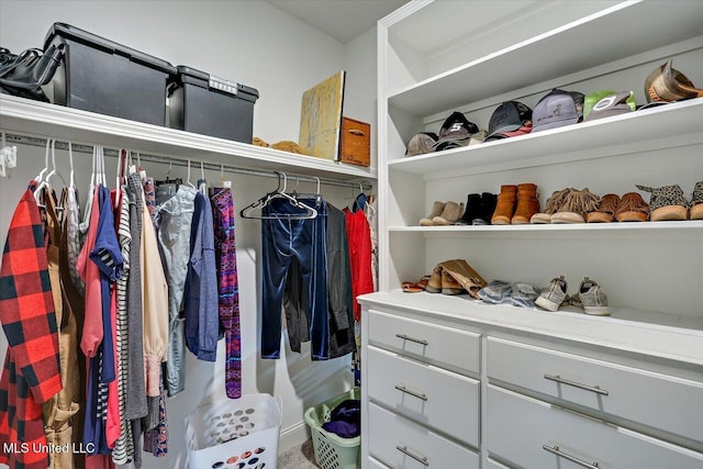 view of spacious closet