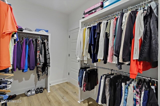 walk in closet featuring light wood-type flooring