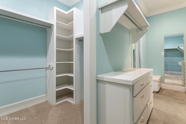 walk in closet with light colored carpet