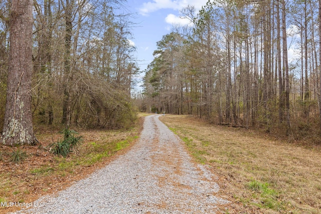 view of road featuring a wooded view