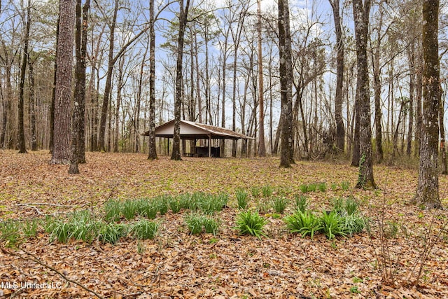 view of yard featuring a pole building and an outdoor structure