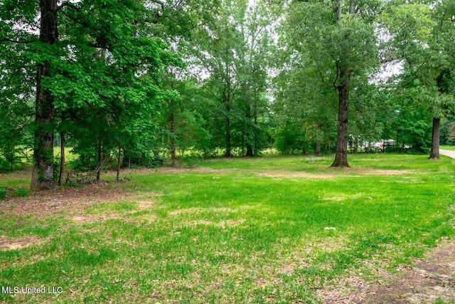 view of green lawn featuring a forest view