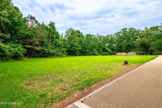 view of green lawn