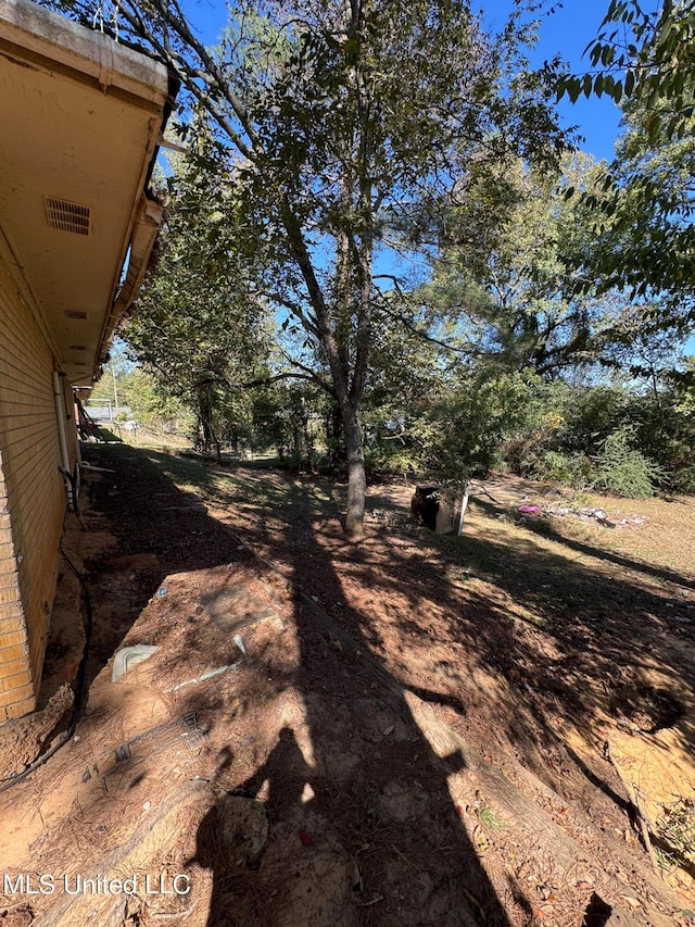 306 Hillcrest St, Carthage, MS 39051 - view of yard