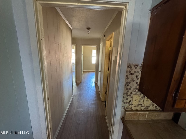 corridor with crown molding, wood walls, and hardwood / wood-style floors