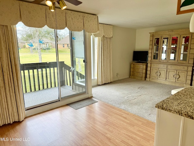 interior space featuring carpet, a ceiling fan, and wood finished floors