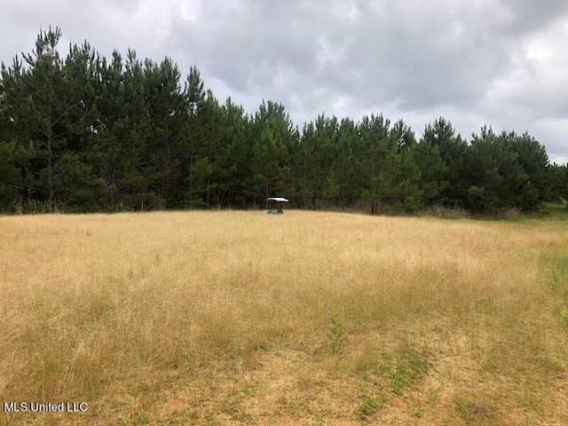 Stephens Rd, Durant MS, 39063 land for sale