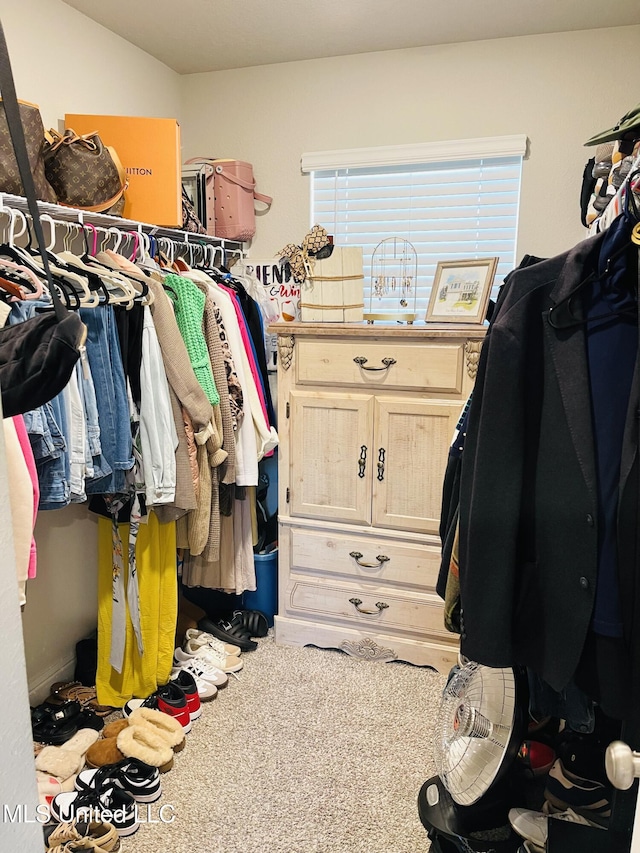 5438 Leeds Ln, Biloxi, MS 39532 - spacious closet featuring carpet flooring