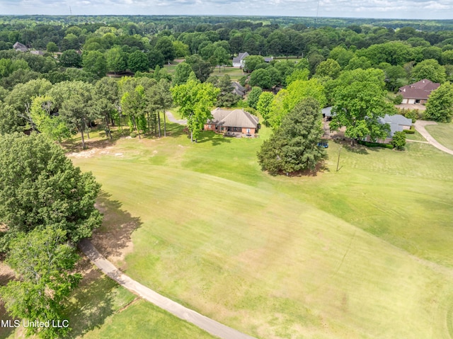 650 Fairway Dr, Hernando, MS 38632 - bird's eye view of a golf course