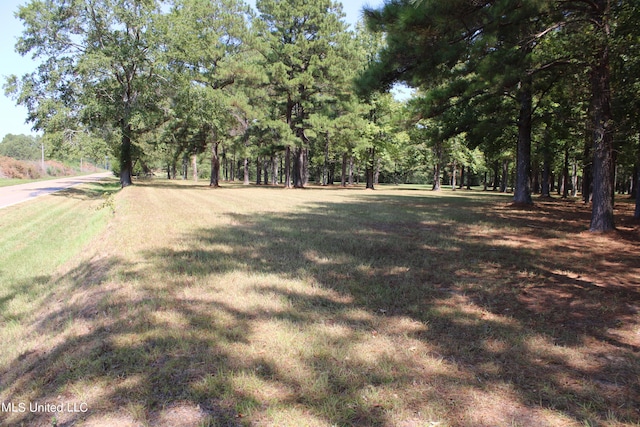 Listing photo 2 for 1762 N Old Canton Rd, Canton MS 39046