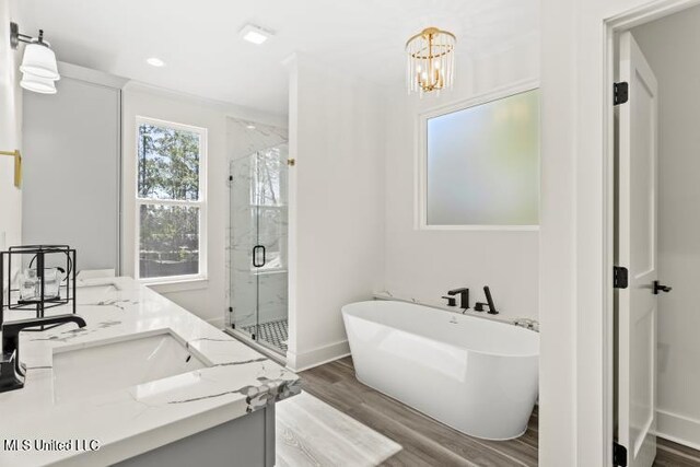 full bath featuring a freestanding tub, a shower stall, wood finished floors, and vanity