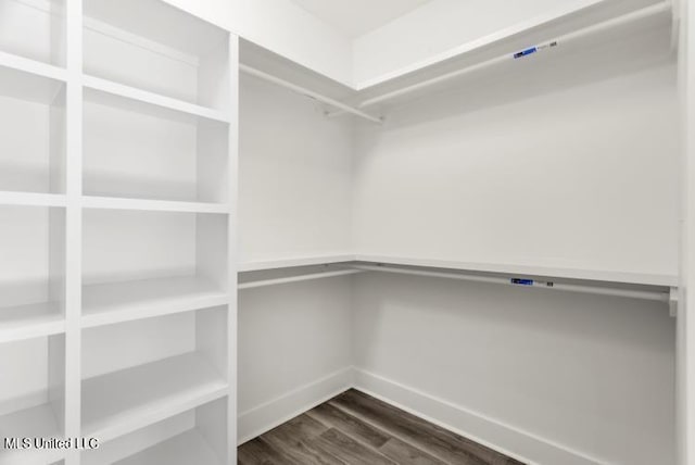 spacious closet with dark wood-type flooring