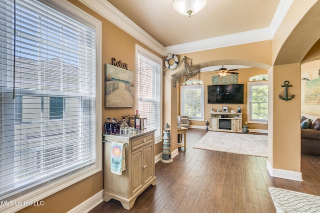 interior space featuring ceiling fan, crown molding, a fireplace, bar area, and dark hardwood / wood-style floors