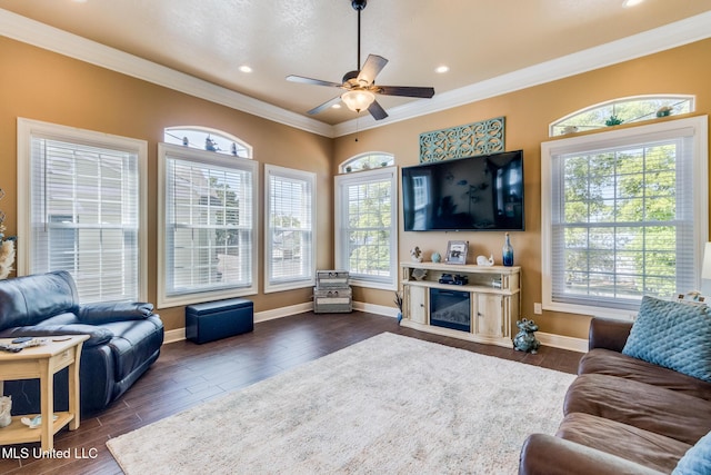 living room with dark hardwood / wood-style floors, a healthy amount of sunlight, ornamental molding, and ceiling fan