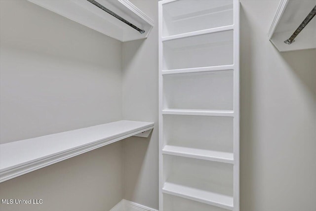 view of spacious closet