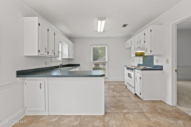 1035 N Azalea Dr, Madison, MS 39110 - kitchen with white electric stove, under cabinet range hood, a sink, white cabinets, and ornamental molding